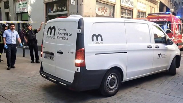 Muere una mujer al caerle encima una palmera en el Raval de Barcelona