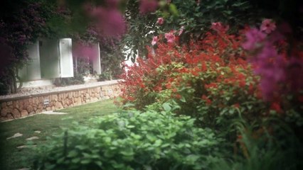 Ida Vitale - Trailer