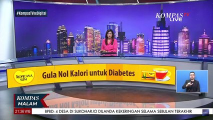Bocah 5 Tahun Tewas Ditabrak Mobil Anggota DPRD Lampung, Begini Kronologinya
