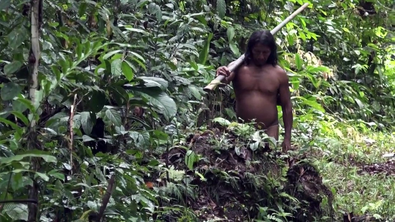 "La selva es mi casa", clama indígena que se opone a las petroleras en Ecuador