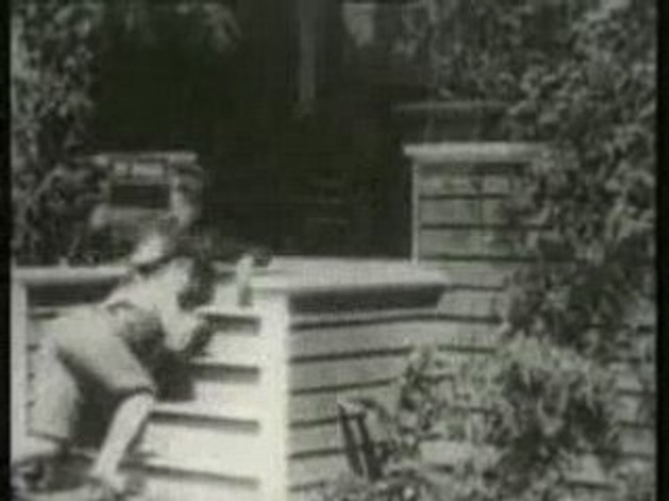 Charlie Chaplin - 1915 - Charlot Falso Dentista