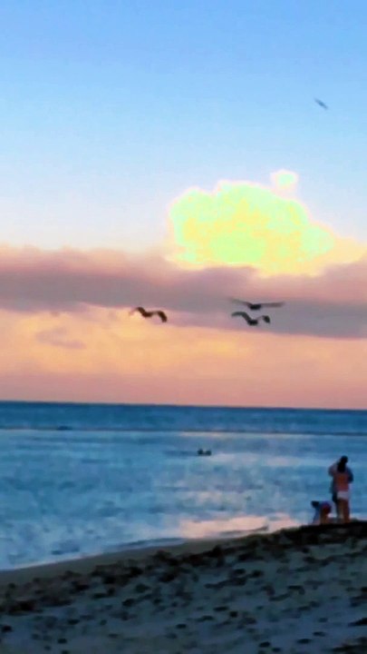 Punta Cana Palican 2
