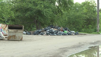 Decenas de bolsas de basura se acumulan al borde del río Pitillal
