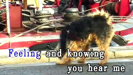 MARIAH CAREY — ONE SWEET DAY