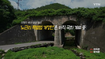 [영화는실화다] 영화 '작은 연못' _ 노근리 양민 학살 사건 / YTN