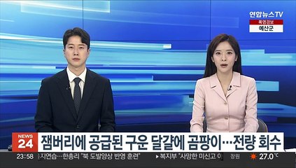 잼버리에 공급된 구운 달걀에 곰팡이…전량 회수