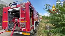Incendio a Venafro, in fiamme Monte Santa Croce: il sorvolo del Canadair