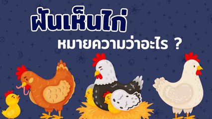 ฝันเห็นไก่ ทำนายฝัน พร้อมเลขเด็ดงวดนี้ 🐔 คำทำนายแม่น ๆ โชคลาภรออยู่