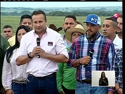 Guárico | Más de 200 mil hectáreas de maíz se encuentran cultivadas en la entidad