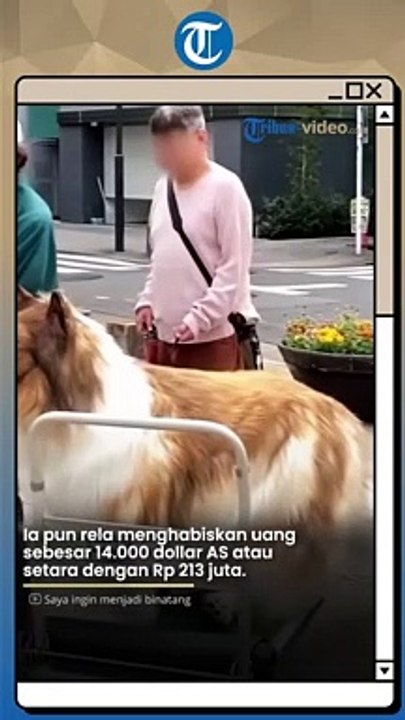 Penampakan Perdana Pria Jepang Toco yang 'Berubah' Jadi Anjing, Rela Habiskan Rp 213 Juta!
