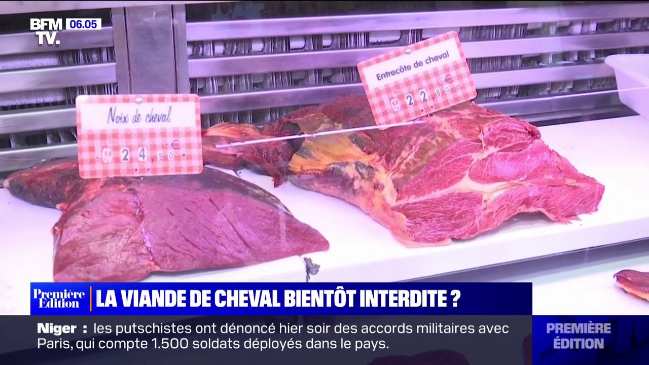Nicolas Dupont-Aignan veut mettre fin à la consommation de viande de cheval