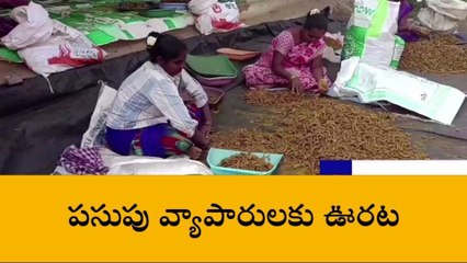 అనకాపల్లి జిల్లా: మన్యం పసుపునకు భలే గిరాకీ.. మైదాన ప్రాంతాల్లో భారీగా అమ్మకాలు