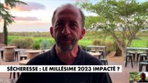 Jean-Michel Lafage : «Avec le changement climatique, les températures plus élevées, il est clair que les vendanges sont de plus en plus précoces»
