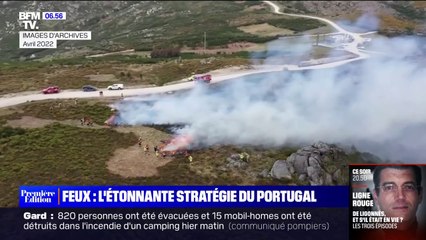 Le Portugal fait office de modèle dans la lutte contre la prévention des feux de forêt