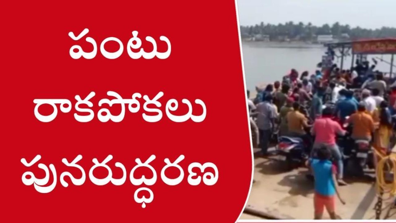 పశ్చిమగోదావరి జిల్లా: పంటు రాకపోకలు పునరుద్ధరణ