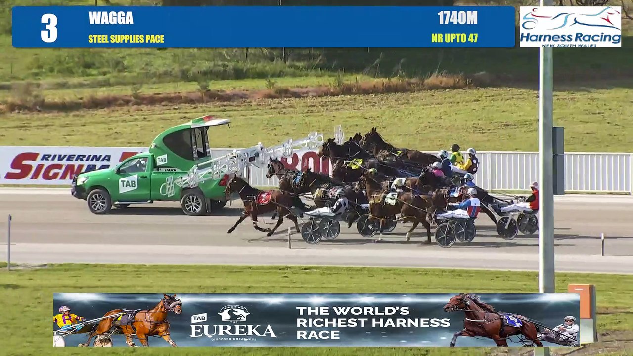 My Courtell winning