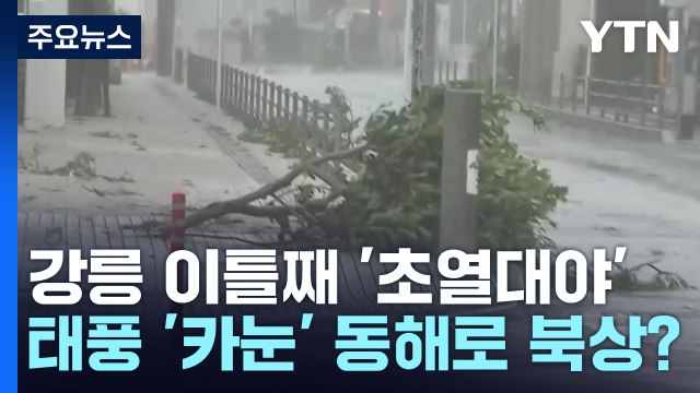 [날씨] 강릉 이틀째 '초열대야'...태풍 '카눈' 동해로 북상? / YTN