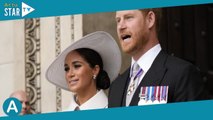 Meghan Markle et le prince Harry au bord du divorce ? Cette nouvelle vidéo filmée chez eux qui en di