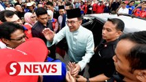Anwar: Audience with Kedah Ruler unrelated to REE