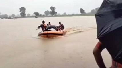दमोह: मूसलाधार बारिश से 2 गांव में आई बाढ़, 60 लोगों का SDRF ने किया रेस्क्यू