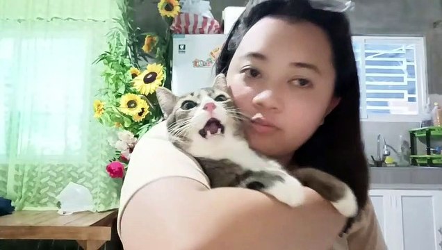 Adorable Staring Contest Between Cat and Owner