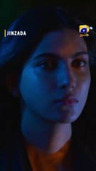 Koi Hamein Sahara Dene Ko Tayar Nahi #jinzada #shorts