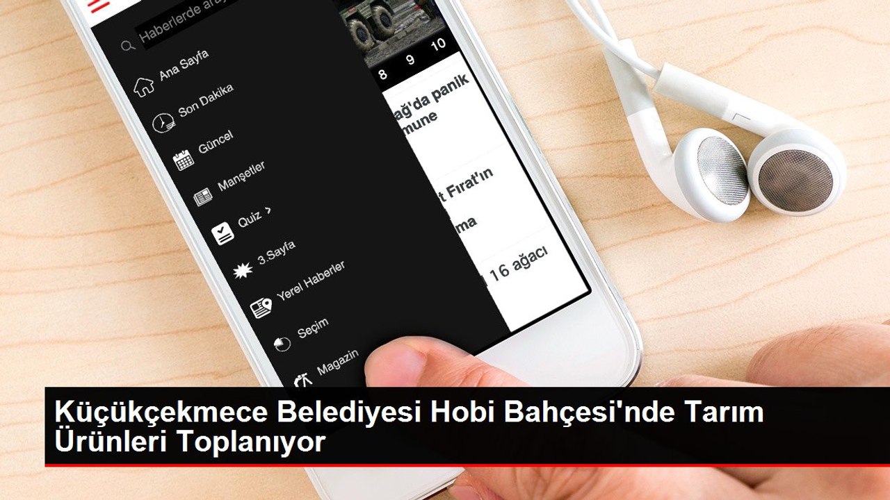 Küçükçekmece Belediyesi Hobi Bahçesi'nde Tarım Ürünleri Toplanıyor