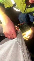 Crayfish Clutches onto Man's Finger