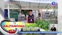 Mga kabataan, hinihikayat ng DAR na pasukin ang pagsasaka para sa food security | BT