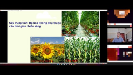 Sinh 11 - Bài 36 Phát triển ở thực vật có hoa