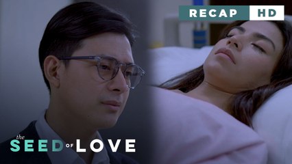 The Seed of Love: The untimely reunion of ex-lovers (Weekly Recap HD)