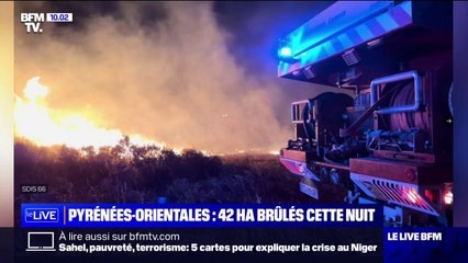 Tải video: Pyrénées-Orientales: 42 hectares brûlés cette nuit, le feu circonscrit ce matin