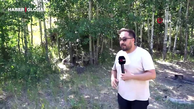 Habere giderken haber olan muhabir, ayı saldırısından kıl payı kurtuldu!