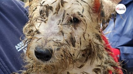 Vermüllte Horror-Wohnung: Ermittler machen unglaublichen Fund