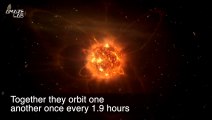 Tightly Orbiting Binary Stars Are So Close They Could Both Fit Inside the Sun