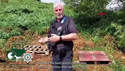 La police du Pays de Galles recherche un voleur qui a volé 14 ruches