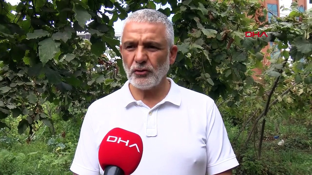 Avertissement précoce pour la récolte des noisettes : n'entrez pas dans le jardin avant la date de récolte.