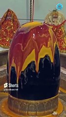 Om Namo Bhagavate Rudraya #harharmahadevॐ #mahamrityunjaymantra  #shivshankarsongs Shiv Bhakti