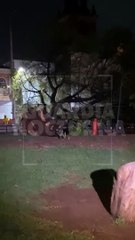 Download Video: #Preliminar Un adolescente de apenas 14 años de edad, murió luego de que un árbol se le viniera encima. Este hecho tuvo lugar en la colonia San Gaspar de Tonalá #GuardiaNocturna