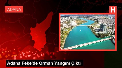 Adana Feke'de Orman Yangını Çıktı