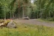 WRC Finland 2023 SS03 Loubet Hard Crashes Amateur