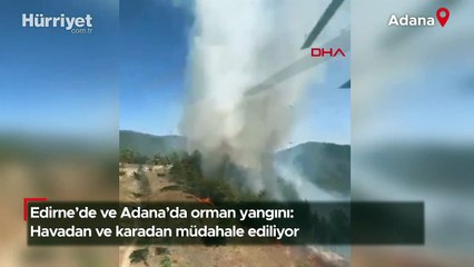 Edirne'de ve Adana'da orman yangını