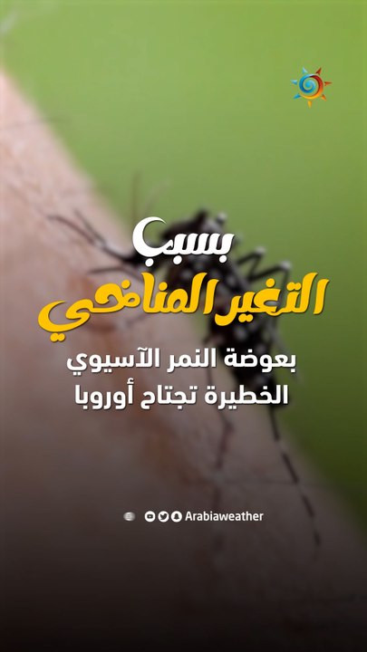 بسبب التغير المناخي | بعوضة النمر الآسيوي الخطيرة تجتاح أوروبا