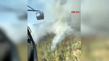 Feu de forêt à Adana Feke