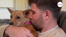 Paar adoptiert ersten Hund, doch mit dieser Überraschung hätten sie nie gerechnet (Video)