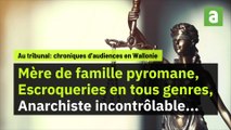 9 surprenantes histoires judiciaires: il avait trouvé la faille pour faire le plein sans payer, elle se plaignait d'un incendie qu'elle avait allumé