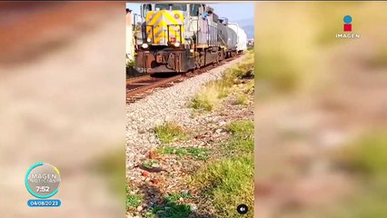 Perrito casi es arrollado por un tren