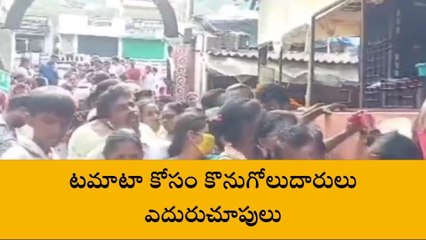 అనకాపల్లి జిల్లా: టమాటా కోసం కొనుగోలుదారులు ఎదురుచూపులు