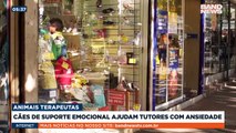 Animais auxiliam no tratamento contra depressão e ansiedade | BandNews TV