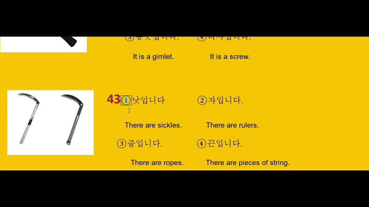 Class-22 | language info4 | Eps topik Reading Question answers 31-50